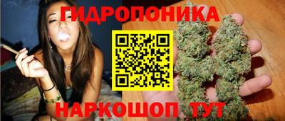 прущие грибы Баксан