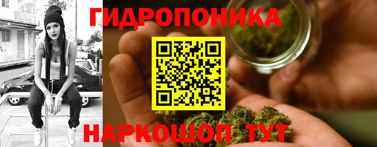 Бошки марихуана White Widow Нурлат